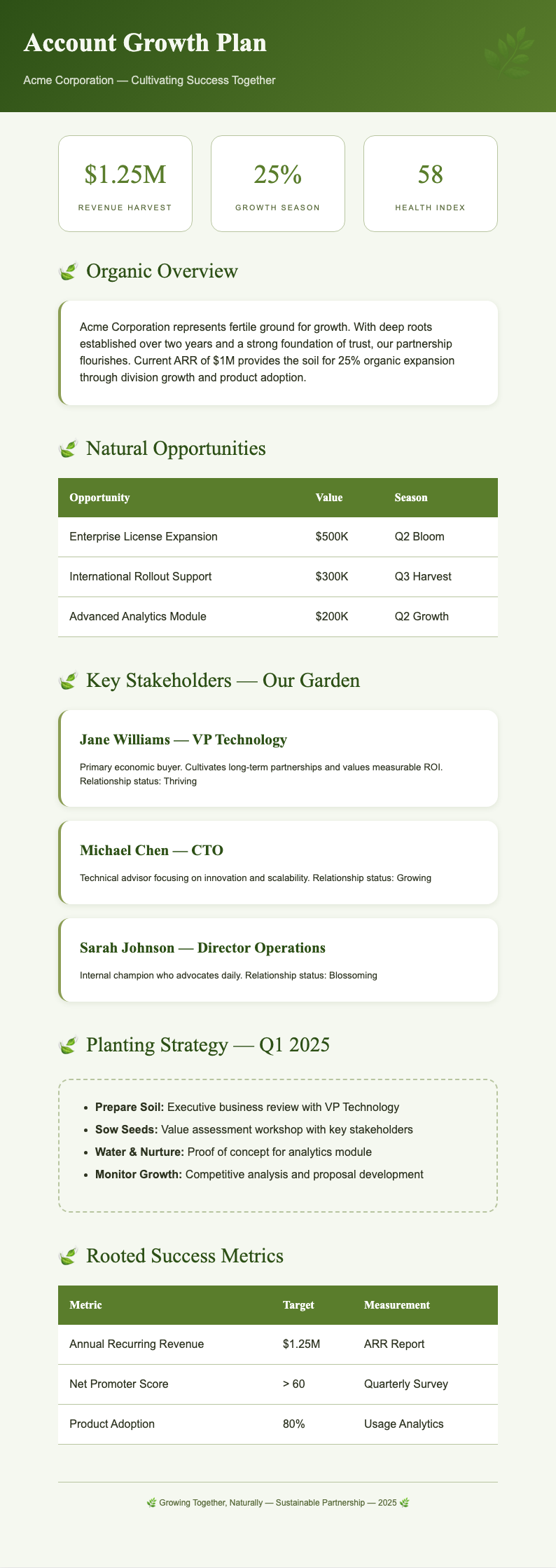 Botanical nature sales account plan